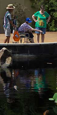 A photograph of Jacksonville citizens relaxing by a pond.