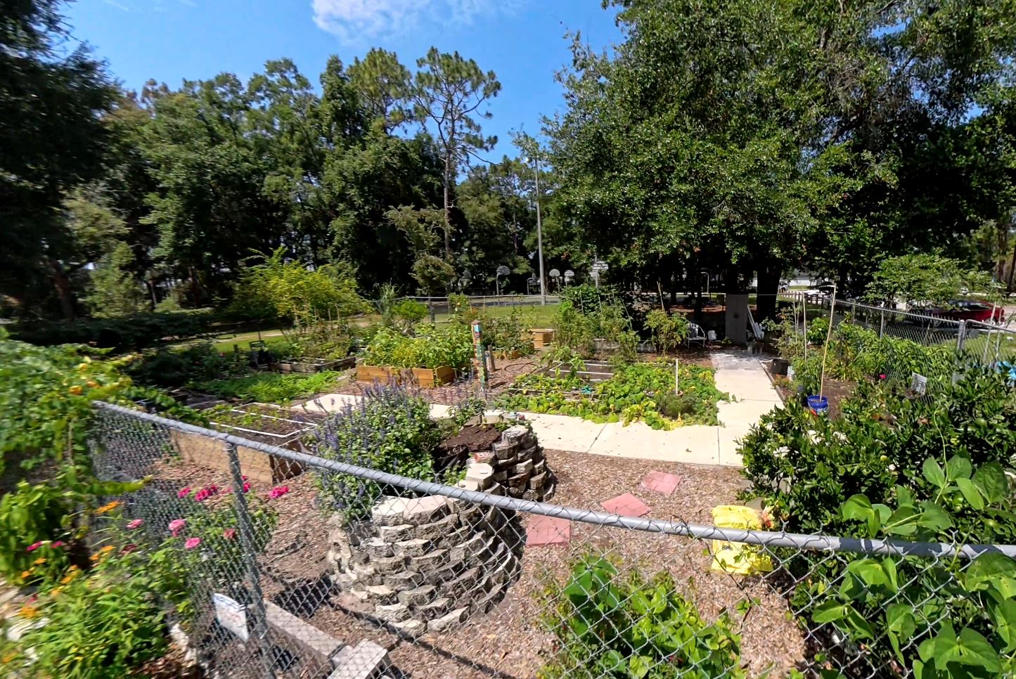 The Community Garden area, full of flowers and veggetables of all sorts.