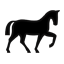Equestrian