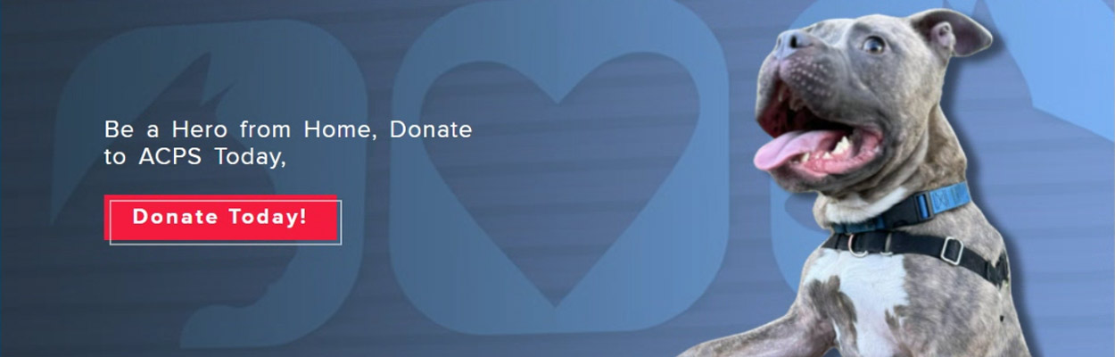 Be a hero from home, donate to ACPS today