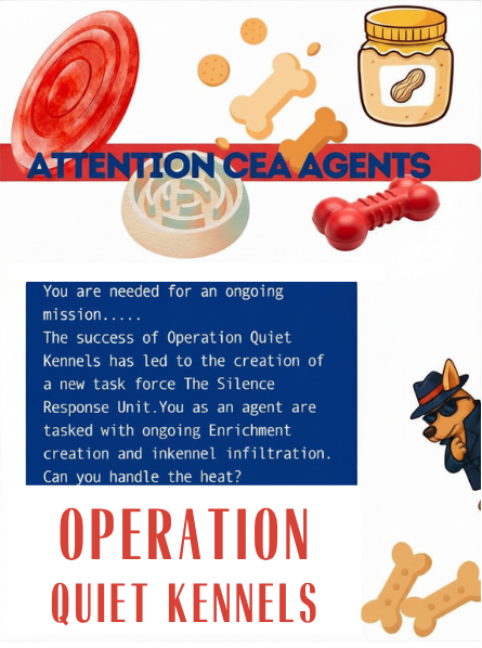 An image of dog toys, a dog in sunglasses and text.
