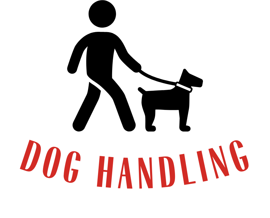 A basic image of a person walking a dog with the words "Dog Handling" underneath it. 