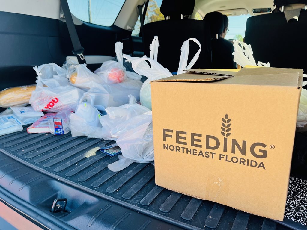 Box in a car with groceries