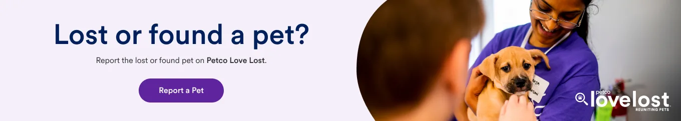 Lost or Found a Pet - Report the lost or found pet on Petco Love Lost - Report a pet - Love Lost