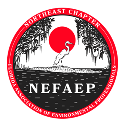 NEFAEP_Logo Northeast Florida Association of Environmental Professionals logo