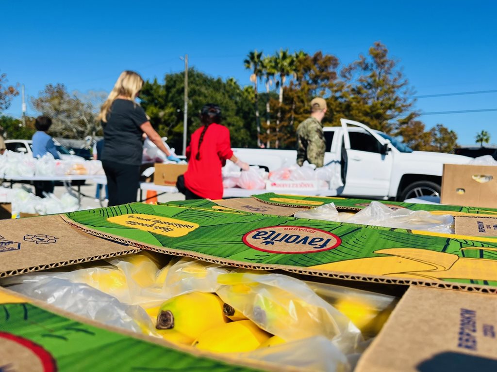 Volunteering event, there is an open crate Bananas