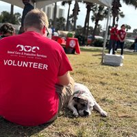 Volunteer holding Dog