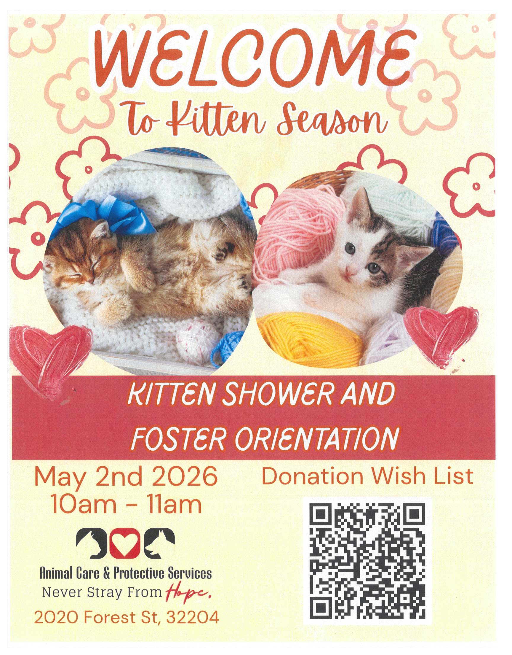 Kitten Shower 5/2/26