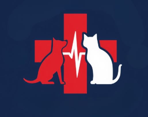 Medical Team Volunteer Training
