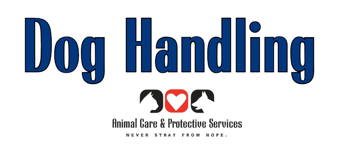 Dog Handling Green Level