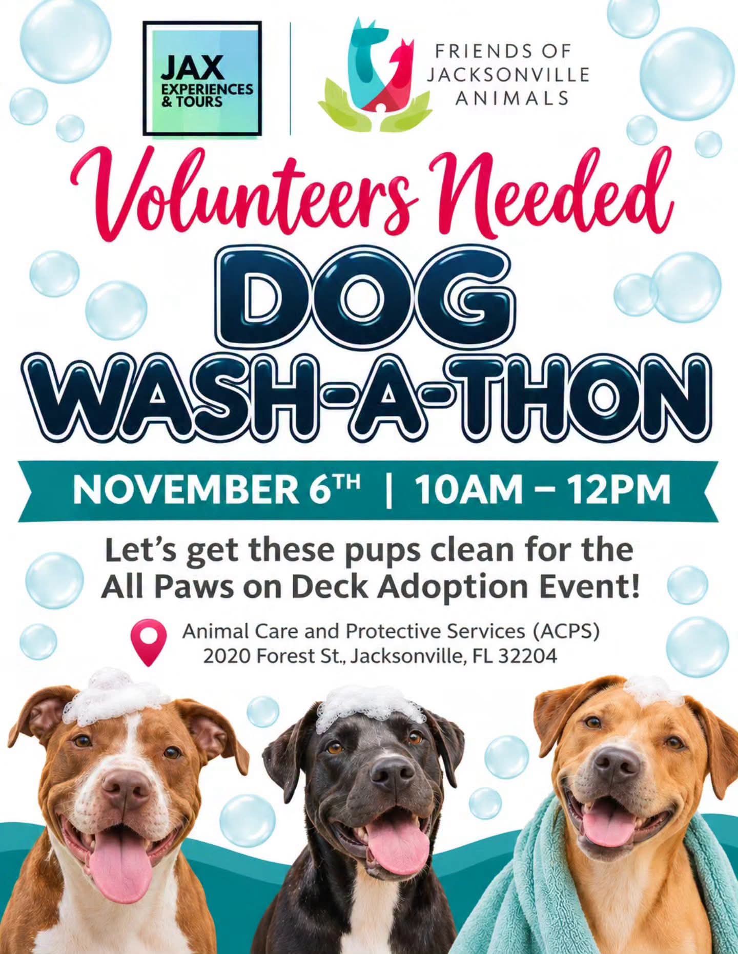 dog wash