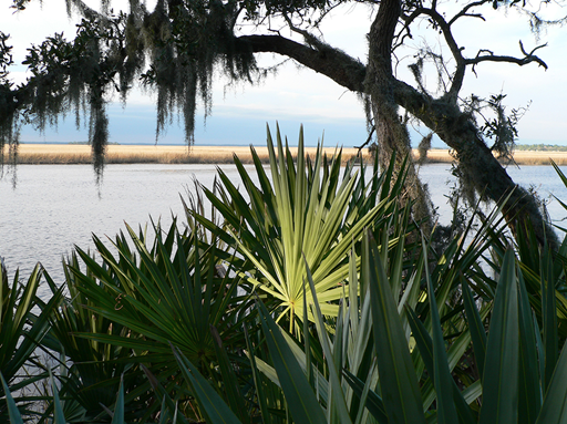 An image of Betz-Tiger Point Preserve