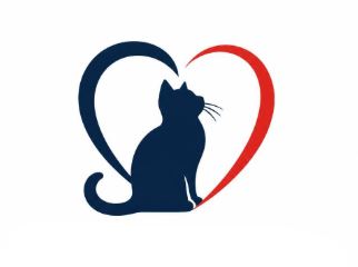 Cat Team: New Volunteer Training