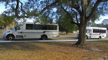 Two white busses parked on the road