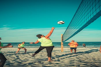 Parks - Vollyball