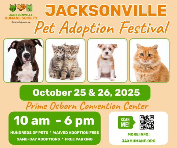 Pet Adoption Festival When and Where Flyer with image of dog and cat