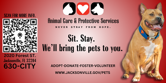 Sit-Stay-We’ll-bring-the-pets-to-you-(side-1).png Sit-Stay-We’ll-bring-the-pets-to-you-(side-1).png