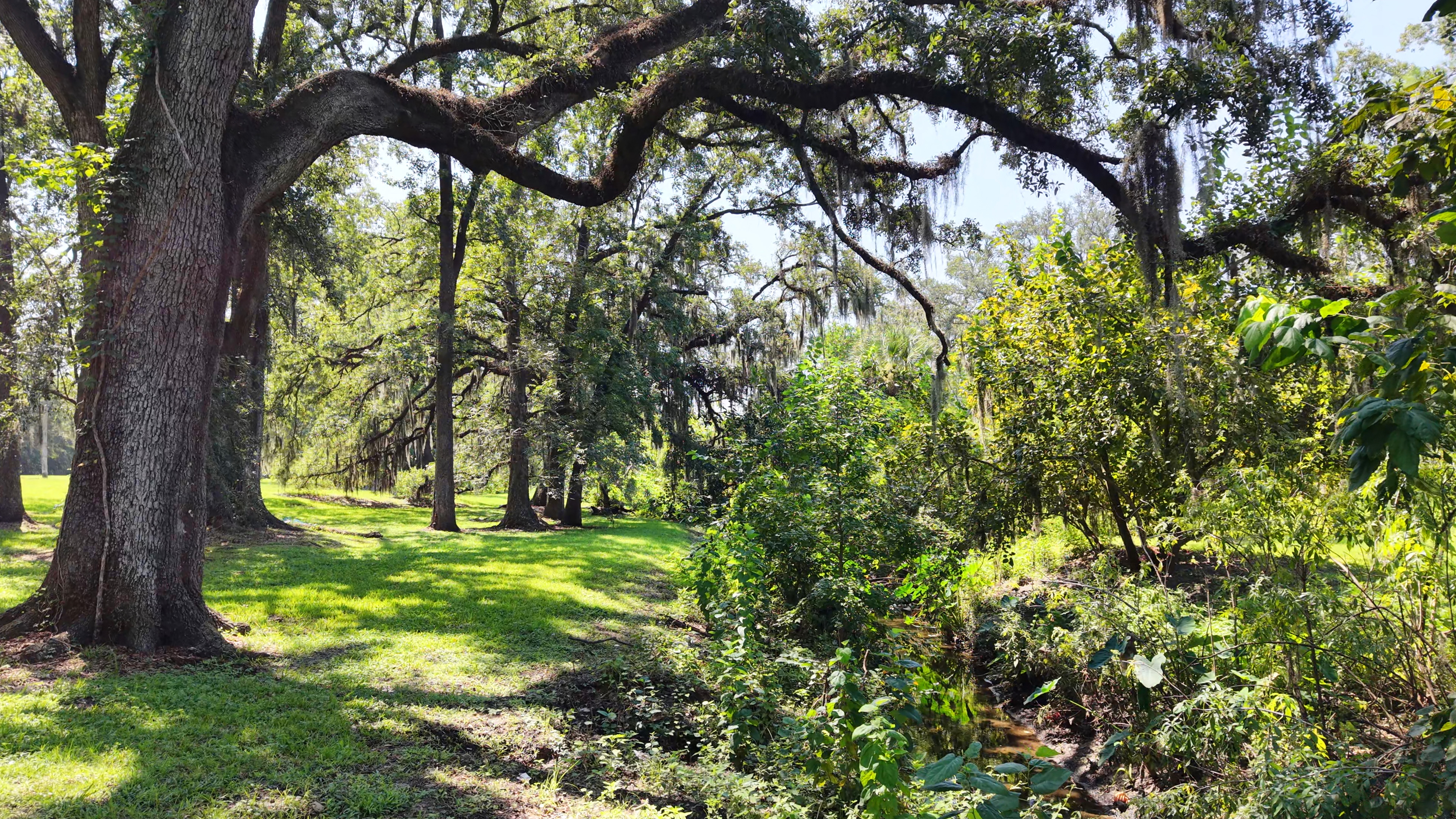 Westbrook Park - District 9