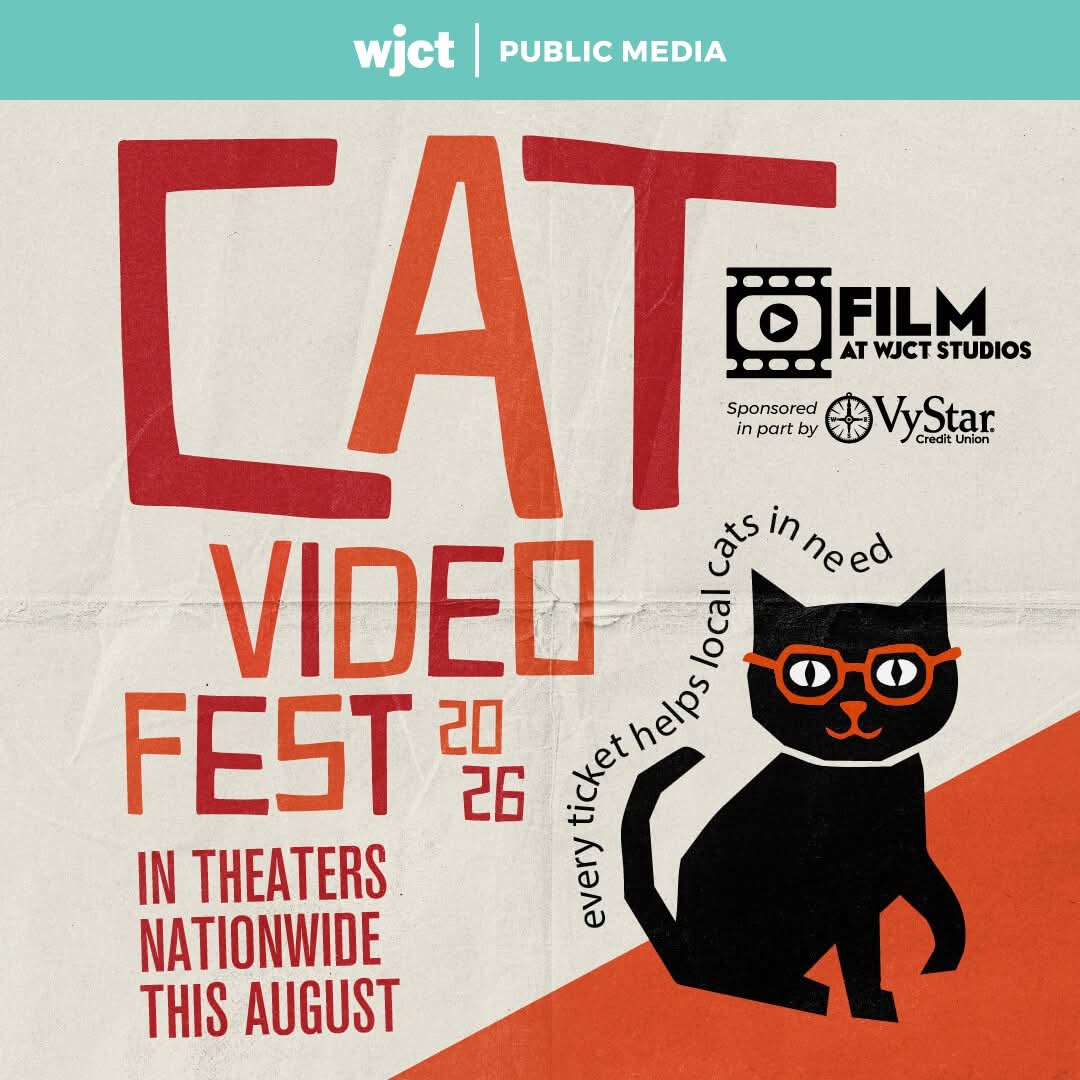 Cat video fest