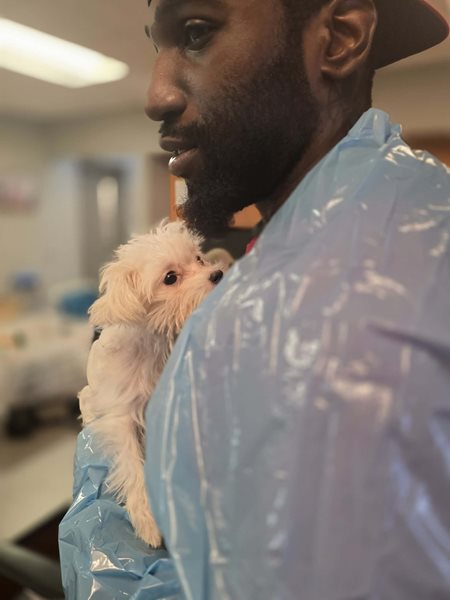 A Dog with Justin Johnson