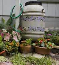 Rain barrel in a garden