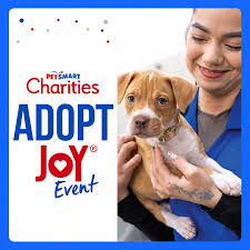 adopt joy