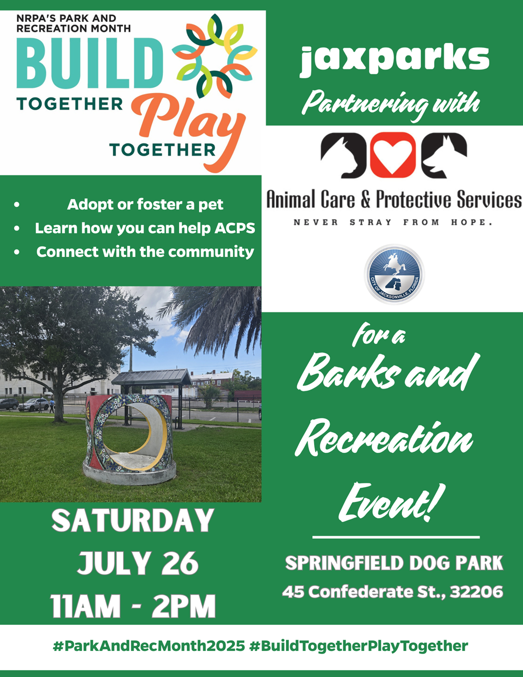 green and white background with picture of dog park play structure