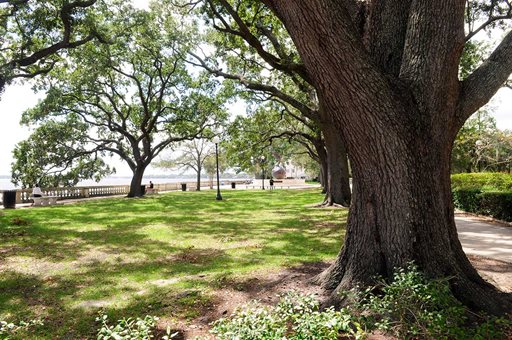 An image of Memorial Park