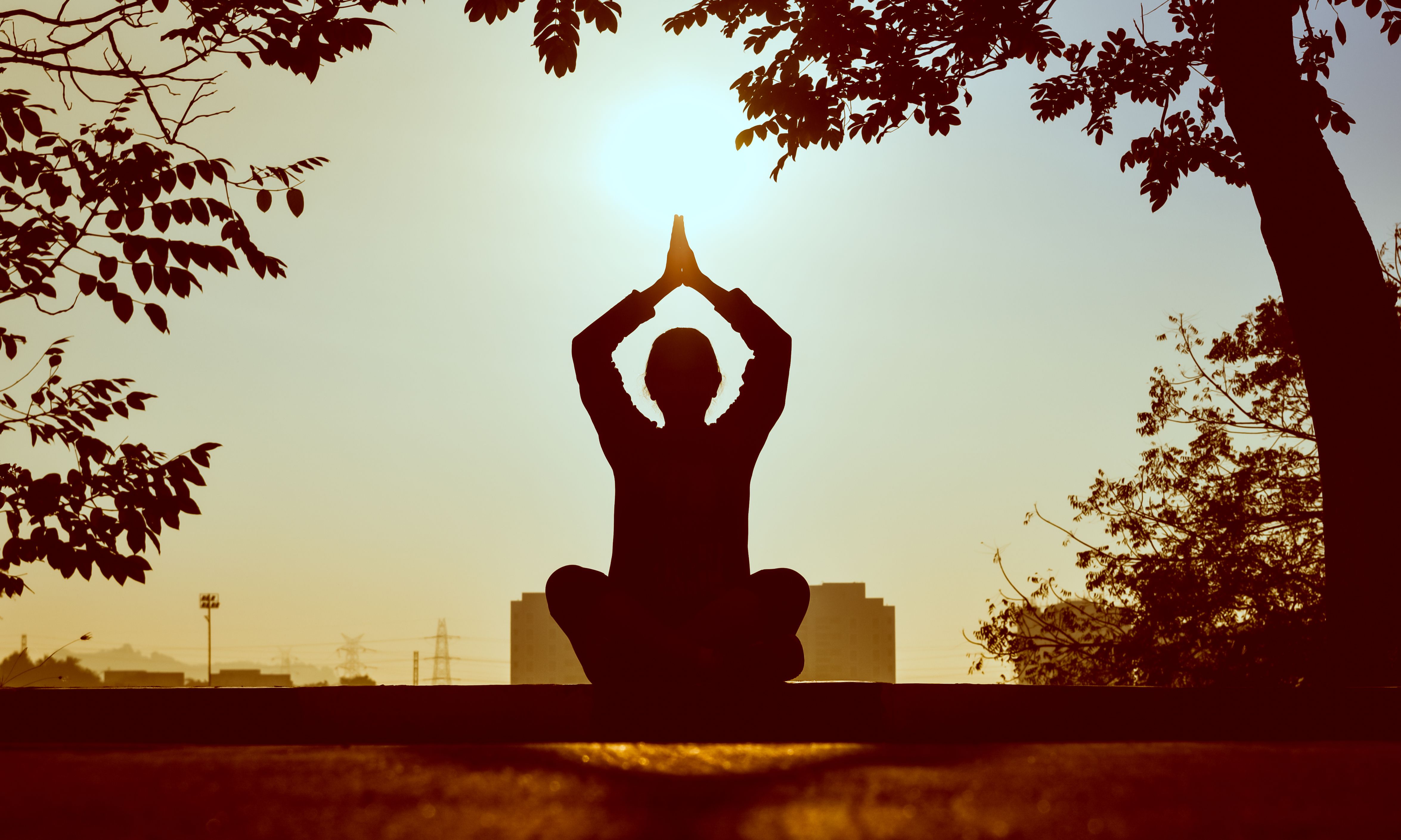 A person silhouette in meditation post under the tree 