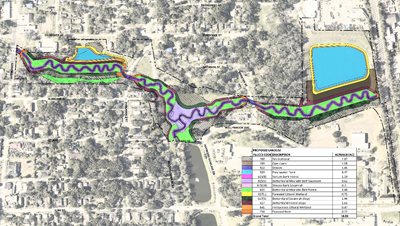 McCoys Creek Restoration: The Branches