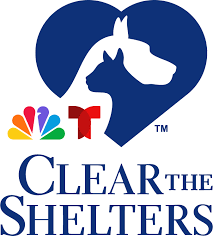 Clear the shelters