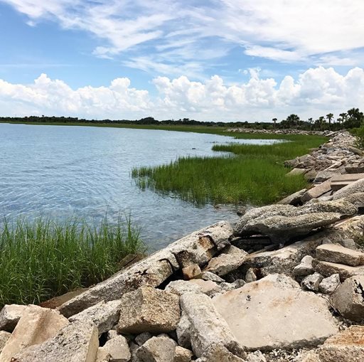 An image of Fort George Island State Cultural State Park