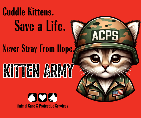 Cuddle Kitens Safe a Life