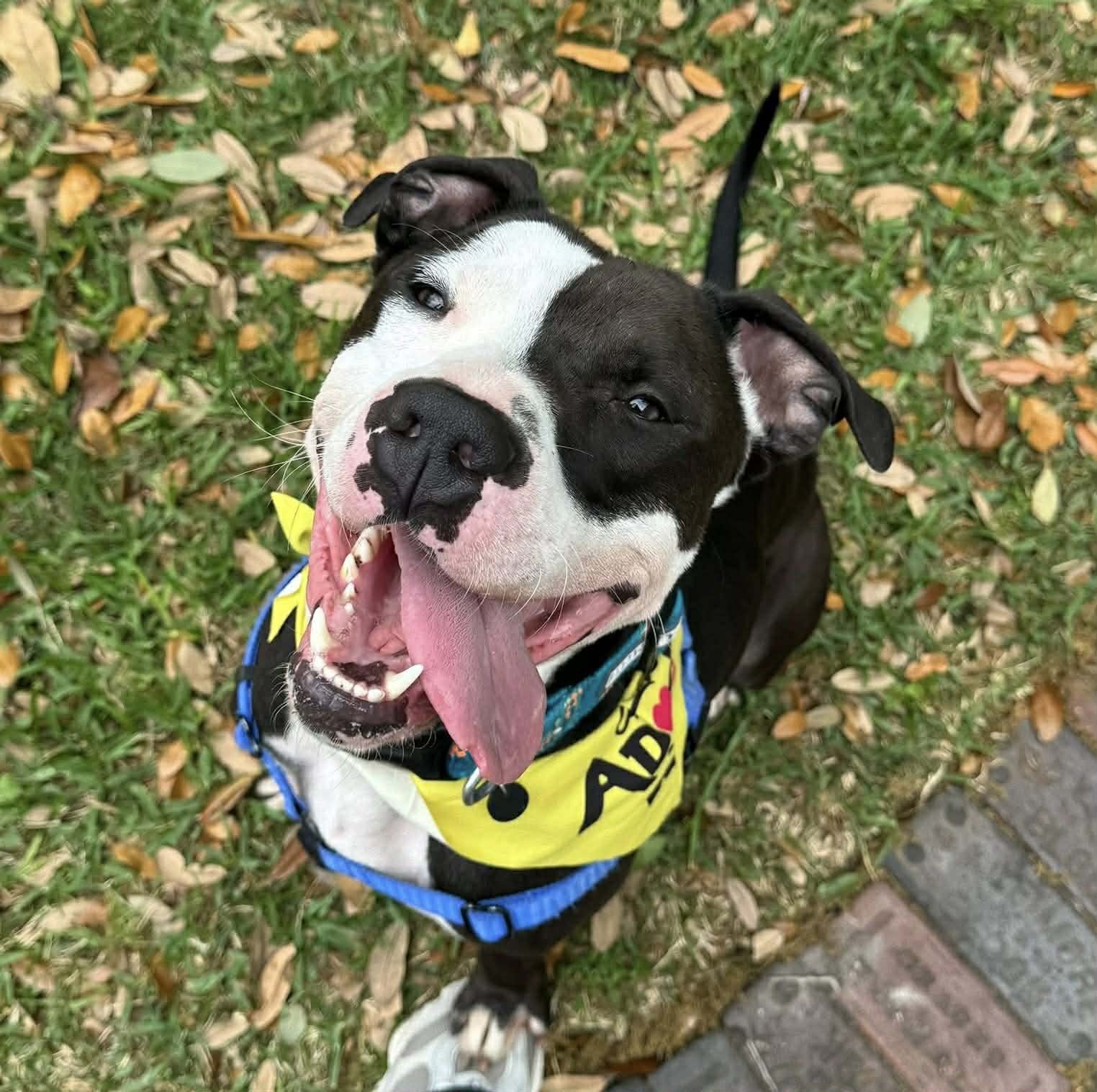 a5fd4a75-9b35-41ab-943e-4e7f426a0ce1.jpg a5fd4a75-9b35-41ab-943e-4e7f426a0ce1.jpg