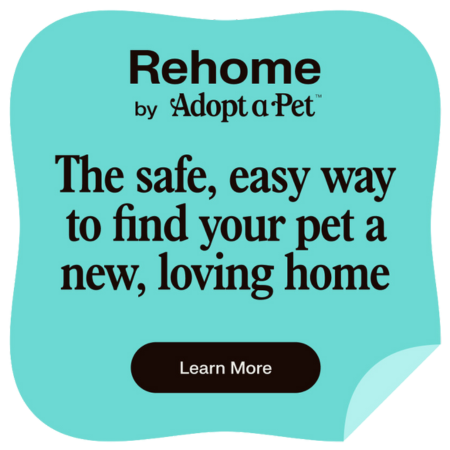RehomebyAdoptaPet-safe-(1).png RehomebyAdoptaPet-safe-(1).png
