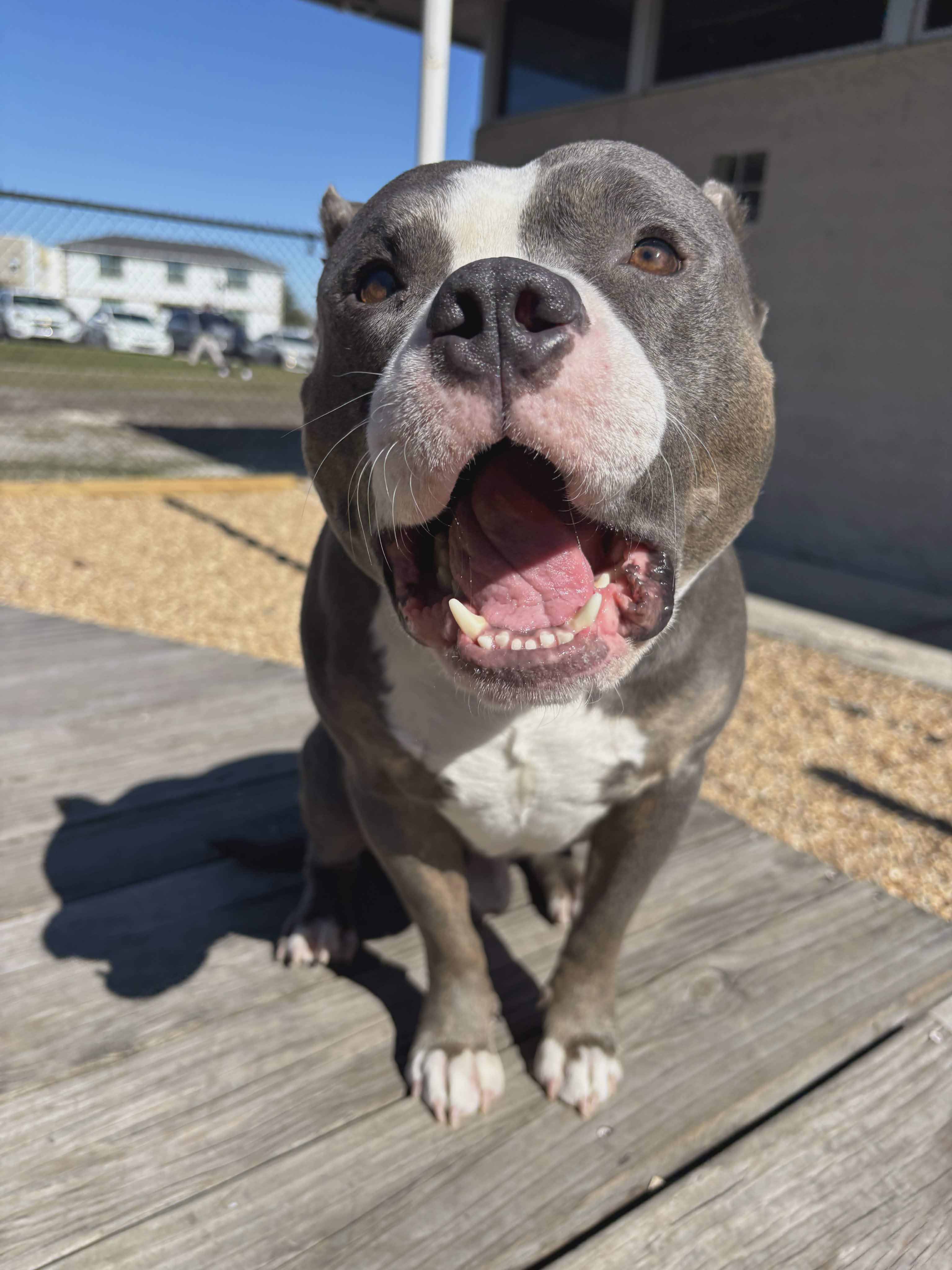 fc1cba20-1d8b-4042-84df-7473c36fb769.jpg fc1cba20-1d8b-4042-84df-7473c36fb769.jpg