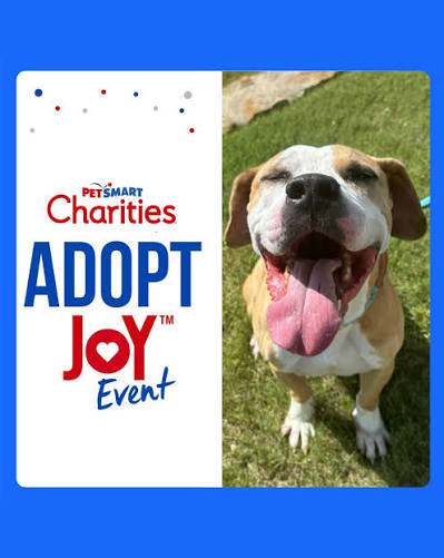 PetSmart Adopt Joy