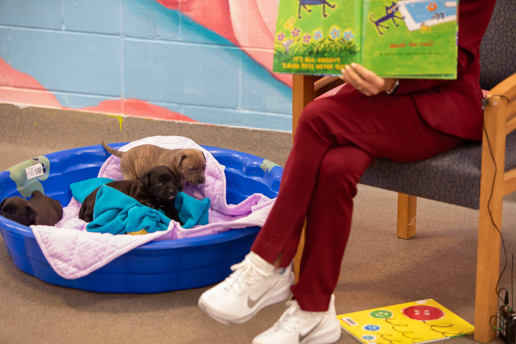 Mayor Donna Deegan reading to puppies and books at ACPS
