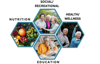 Geographical design with pictures of seniors stretching, being social and learning with the words Social/Recreational, Health/Wellness, Education and Nutrition