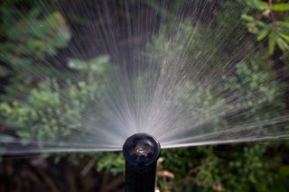Sprinkler