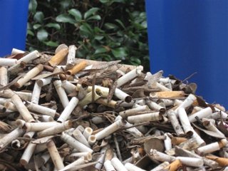 Recognized as a Top Affiliate and for Cigarette Litter Prevention Program