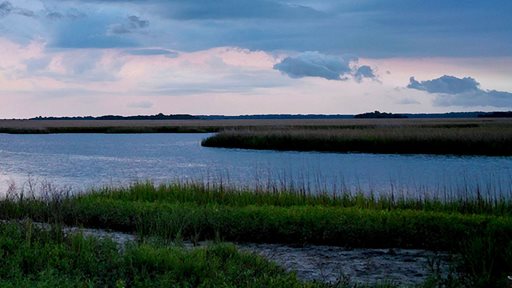 Big Talbot Island State Park