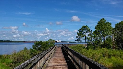 Blue Cypress Park, Community Center & Golf Course