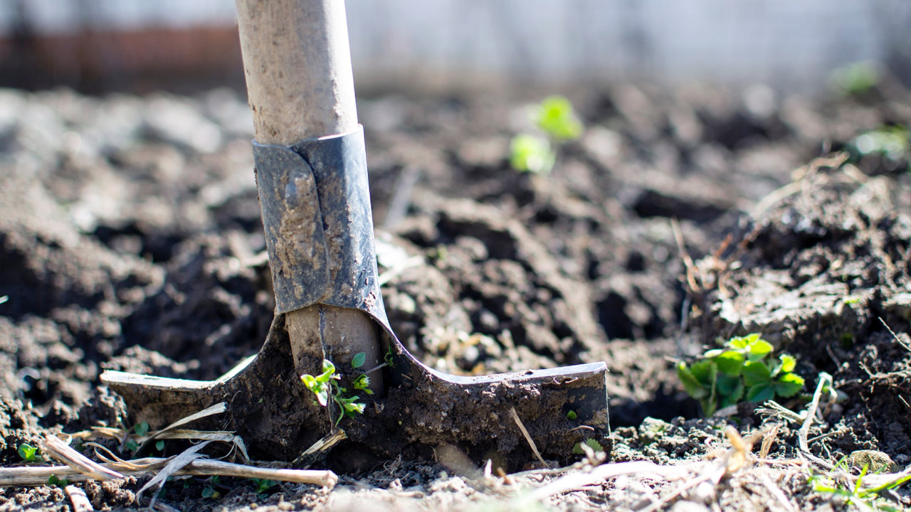 Shovel stuck in dirt