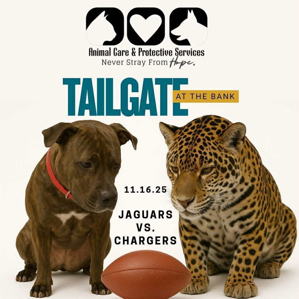 Dog and jaguar looking at football