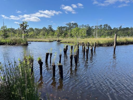 Pablo Creek Preserve