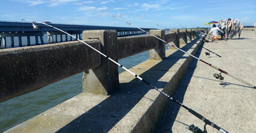 George Crady Fishing Pier State Park