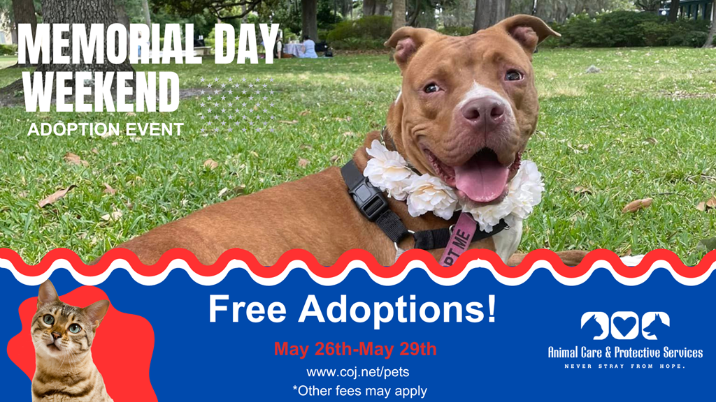 MEMORIAL DAY weekend adoptions flyer with photo of cat and dog