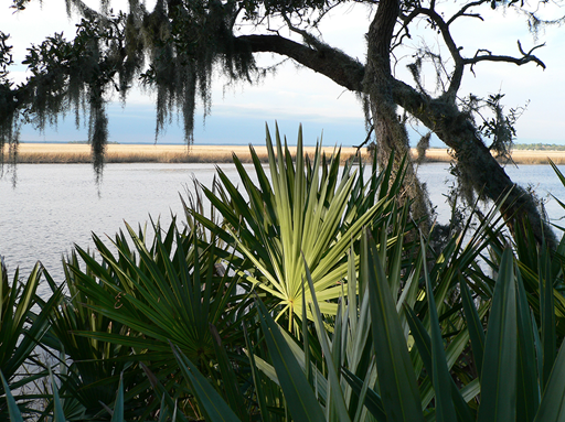 Betz-Tiger Point Preserve