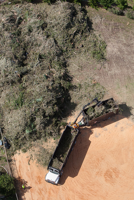 storm debris collection site